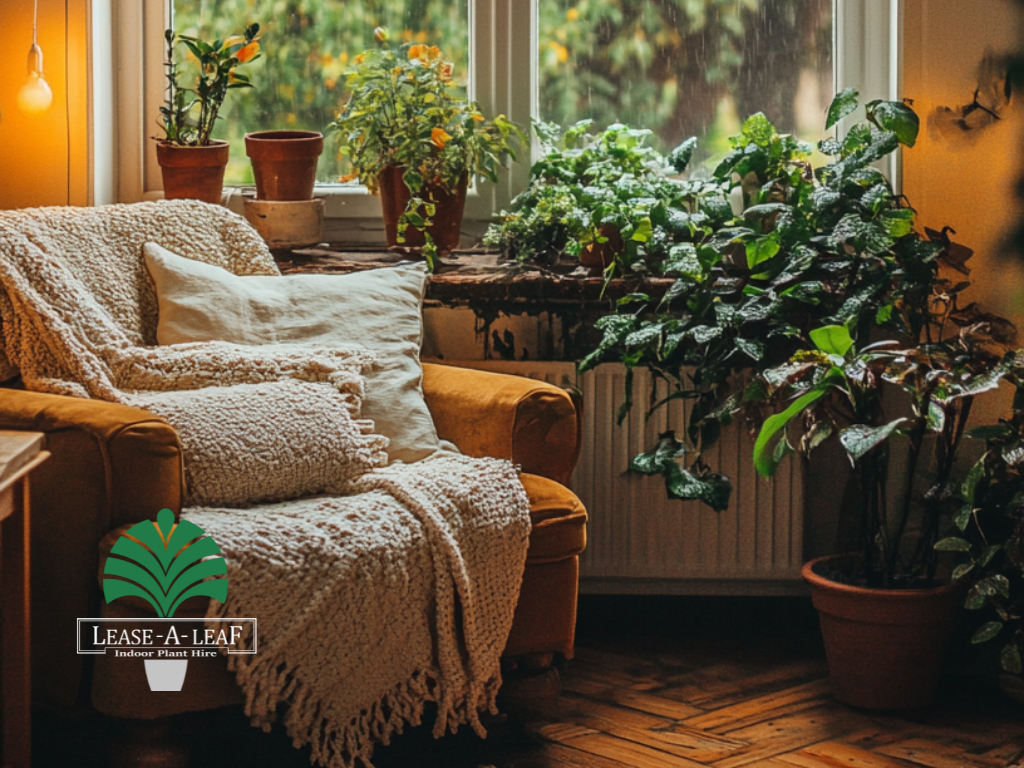 indoor plants hire sydney
