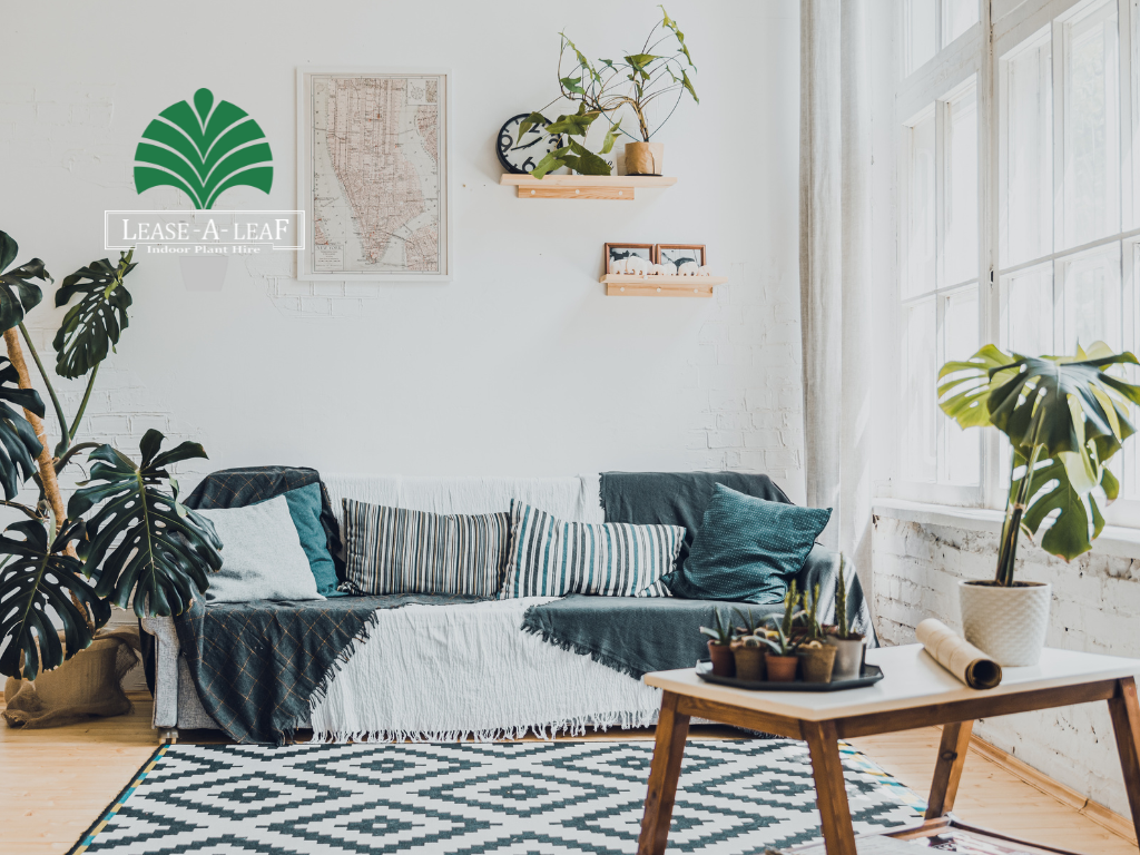 Macquare Park Indoor plant hire