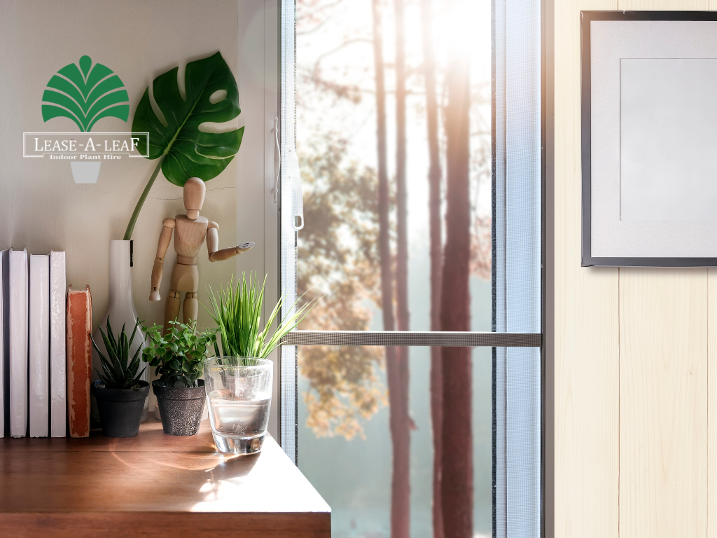 desk top plants
