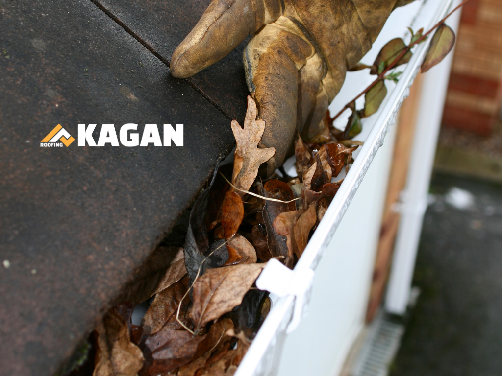 Gutter & Downpipe Replacement