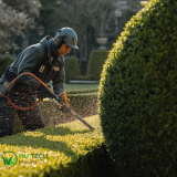 headge trimmer, trimmer, chainsaw, leaf blower, chainsaw bag, lawn mower