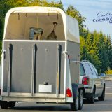 custom motorbike trailers, box trailers sydney, custom trailers for sale, custom enclosed trailers, heavy duty off road trailers