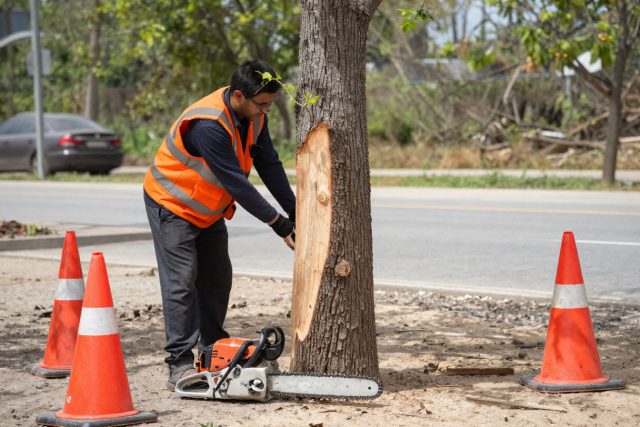 MP Tree Care Pty Ltd