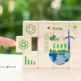 circular economy sustainability, environmental sustainability, carbon footprint, carbon emissions, carbon neutral, greenhouse emissions, carbon cycle