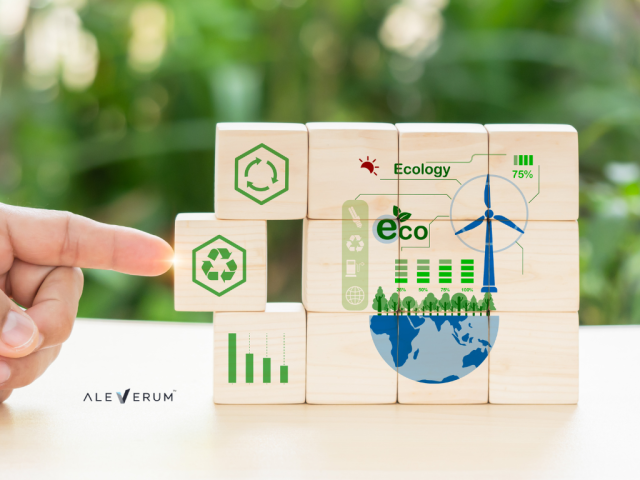 Building Sustainable Businesses Through Circular Economy