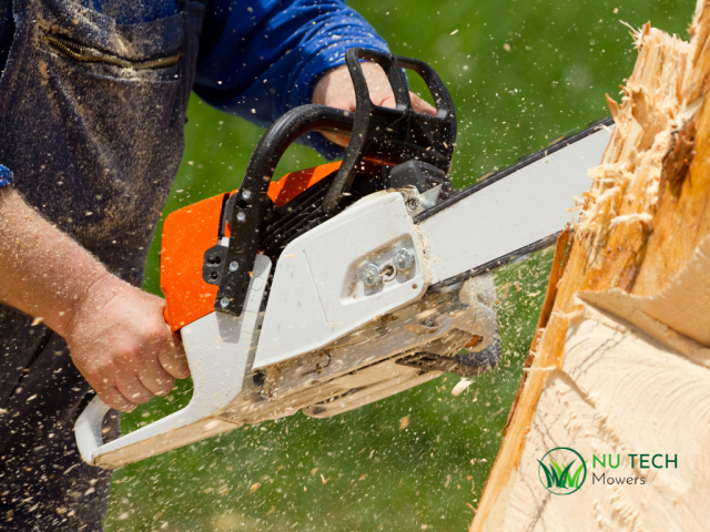 Chainsaw Buying Guide for Safer Australian Garden Work Tasks