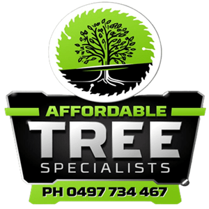 Affordable Tree Specialists