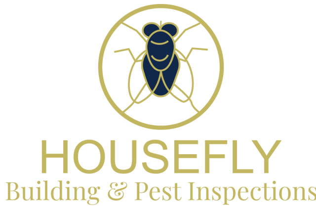 Reliable Building and Pest Inspection Services on the Gold Coast