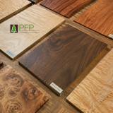 Natural timber veneer samples with different colours and grain patterns arranged for furniture material selection.